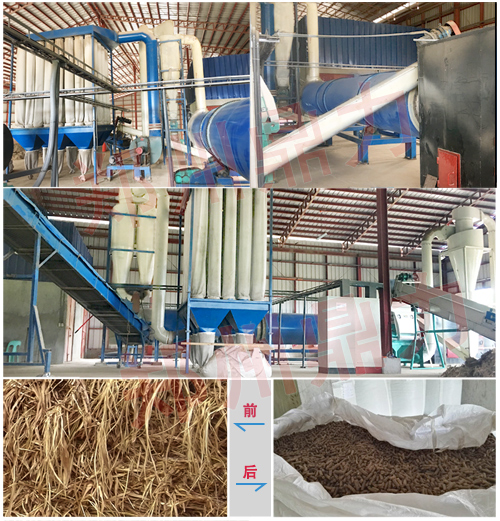 菲律賓象草烘干生產(chǎn)線